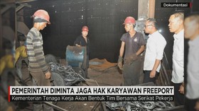 Pemerintah Akan Lindungi Hak Pekerja PTFI
