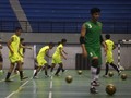 Calon Pelatih Timnas Futsal Indonesia dari Iran dan Australia