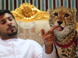 Tren Figur Publik Pelihara Satwa Liar, WWF: Biarkan di Habitatnya