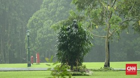 Pria Diduga Alami Gangguan Jiwa Panjat Pagar Istana Bogor