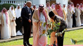 Pohon Ulin Jadi Simbol Hubungan Indonesia dan Arab Saudi