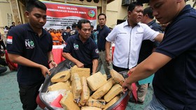 Polisi Bongkar Rumah Produksi Ganja Sintetis di Bali