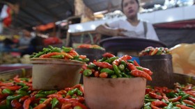 Inflasi Tahunan Akibatkan Konsumsi Pemerintah Negatif