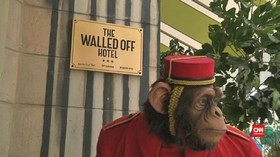 Banksy Bangun Hotel dengan Pemandangan Terburuk di Bethlehem