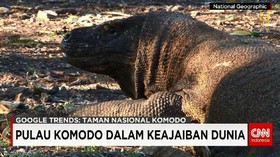 Pulau Komodo: Keajaiban Alam di Dunia