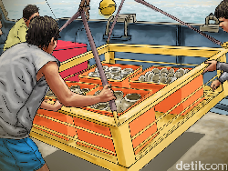 Boleh Diburu Asing, Segini Potensi Harta Karun di Laut RI