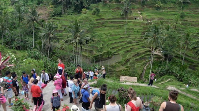 Kemendes PDTT melakukan pendampingan ekstra terhadap desa yang mengalami kesulitan terhadap proses perencanaan hingga pelaporan dana desa.