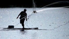 Pelemahan Rupiah Dongkrak Harga Pakan Ikan