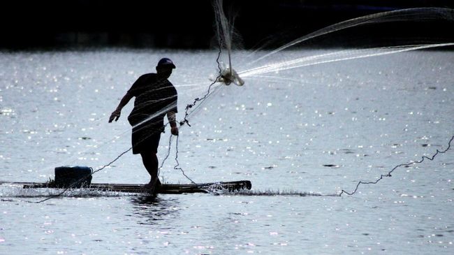Pelemahan Rupiah Dongkrak Harga Pakan Ikan