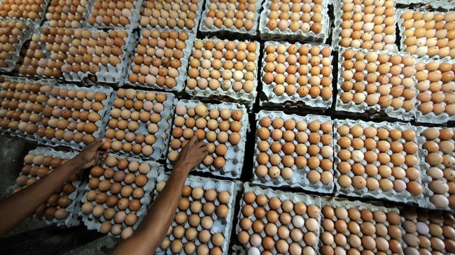 Aksi peternak ayam di Kabupaten Blitar, Jawa Timur, yang menggelar bagi-bagi telur dibubarkan aparat kepolisian, Selasa (28/9).