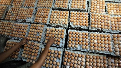 Aksi Bagi-bagi Telur Protes Harga Anjlok Dibubarkan Polisi