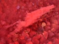 4 Destinasi Seru untuk Merayakan Festival Holi Tahun Ini