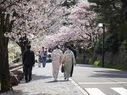 7 Waktu Terbaik dan 1 Terburuk Traveling ke Jepang