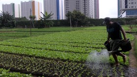 Keberhasilan Agromaret Merevolusi Sistem Pemasaran Pertanian