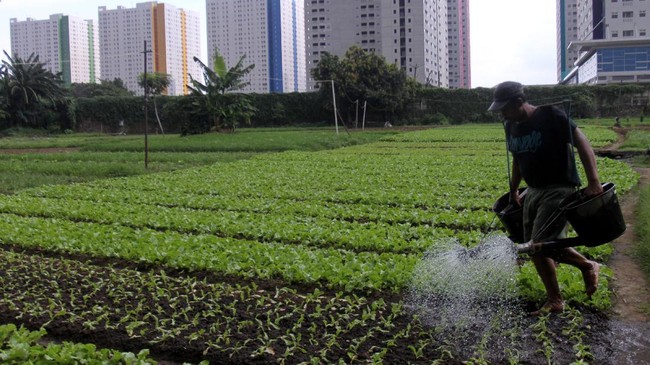 Sistem pemasaran online juga merambah dunia pertanian dan mengubah cara petani melakukan usahanya.