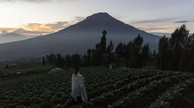 Dua kabupaten di Jawa Tengah, Temanggung dan Wonosobo, berkomitmen menjaga ekosistem dua buah gunung yang letaknya berdekatan yakni Sindoro-Sumbing