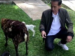 Intip Hewan Peliharaan Pemimpin Dunia, Punya Jokowi Paling Tak Biasa