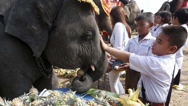 Pesta Buah di Hari Gajah