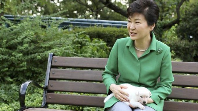 Tak cukup terjerat skandal korupsi hingga dimakzulkan, Eks Korsel Park Geun-hye diadukan ke polisi karena menelantarkan sembilan anjing peliharaan.