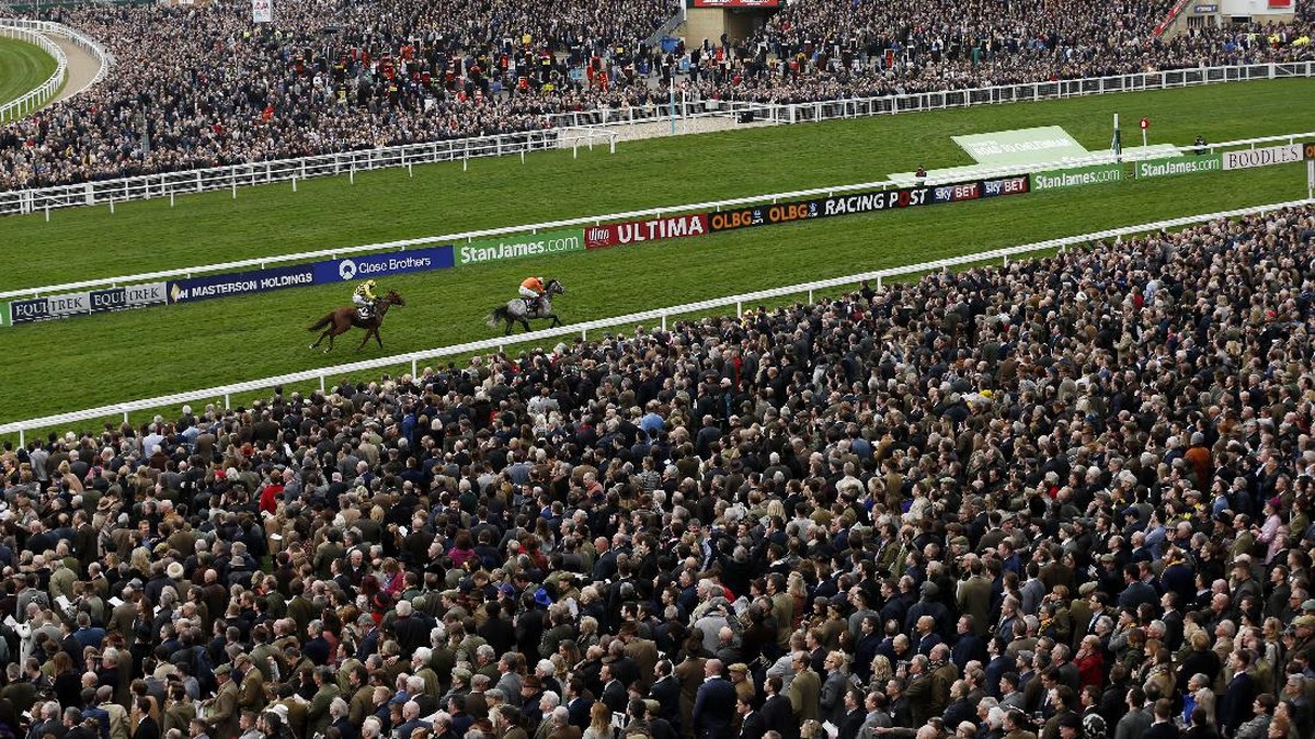 Adrenalin Tinggi Di Pacuan Kuda Cheltenham Festival