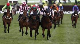 Adrenalin Tinggi Di Pacuan Kuda Cheltenham Festival