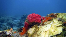 Sudut Muram di Surga Raja Ampat