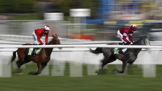Adrenalin Tinggi Di Pacuan Kuda Cheltenham Festival