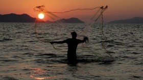 Negara Maritim, Indonesia Berpotensi Ekspor Ikan ke Ceko