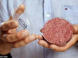 Daging Rekayasa Lab Bisa Dapat Sertifikat Halal, Ini Syaratnya