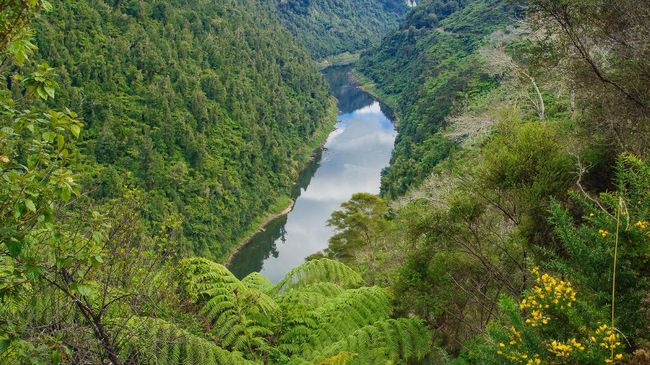 Sebuah sungai di North Island, Selandia Baru, Whanganui, kini punya status manusia dan diakui pemerintah. Bagaimana kisahnya?