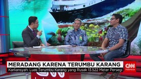 Kejar Tanggung Jawab Perusak Terumbu Karang