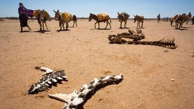 Kekeringan Somalia Terancam Jadi Bencana Kelaparan
