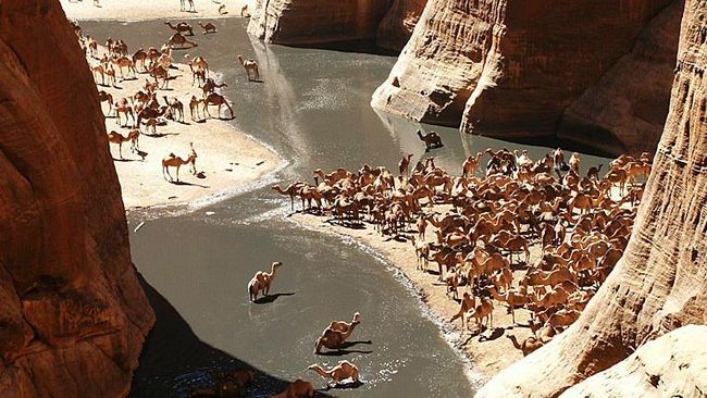 Lukisan yang ada di dalam gua diperkirakan sudah berusia 4.000 tahun dan menjadi karya seni yang terbesar di Gurun Sahara.