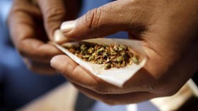 Polisi Tembak Pembawa Ganja 225 Kilogram