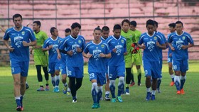 Persib Bawa 21 Pemain ke Gresik, Van Dijk Ditinggal
