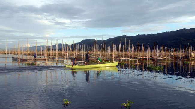 Usai pandemi, kegiatan birdwatching (mengamati burung) bisa dicoba untuk mengobati jenuh. Ekowisata ini juga minim kerumunan orang.