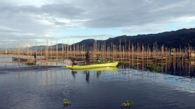 Birdwatching, Pilihan Wisata Alam Unik yang Minim Kerumunan