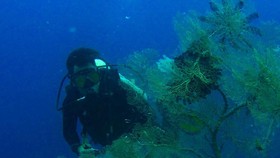 Area Selam di Komodo Tidak untuk Menangkap Ikan