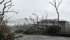 Dihantam Topan, Queensland Bagai Zona Perang