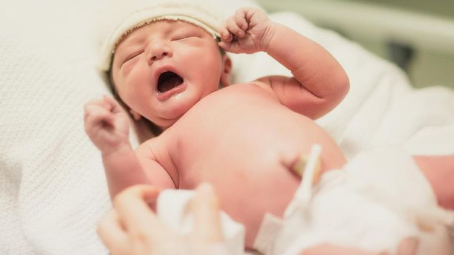 Tim peneliti Universitas Stanford menyuntikan protein darah tali pusar bayi pada tikus percobaan dan membuat kemampuan belajar dan daya ingat tikus membaik.
