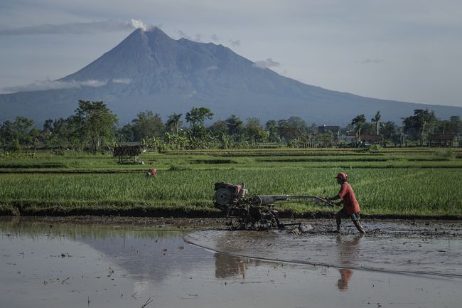 Peluang Pertanian Indonesia di Forum WTO 'Zaman Now' Indonesia harus memanfaatkan MC11 untuk mensikronisasikan kebijakan pertanian dan perdagangannya guna mencapai ketahanan pangan.