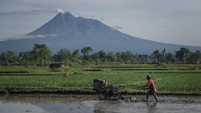 Pupuk Indonesia merupakan induk perusahaan produsen pupuk pelat merah yang mendapatkan mandat memproduksi atau mengadakan pupuk bersubsidi dari pemerintah.