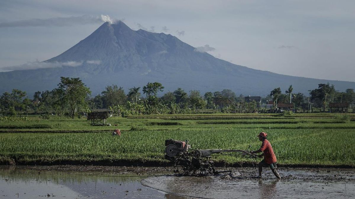Petani Girang Prabowo Turunkan Harga Pupuk dan Naikkan Harga Gabah