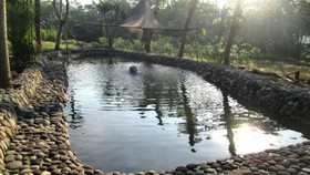 Kampung Flory, Desa Wisata Tanaman Hias dan Kolam Terapi Ikan