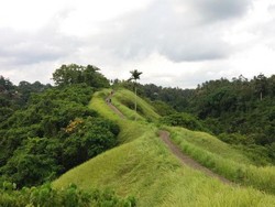 Pesona Bukit Campuhan Ubud yang Instagramable