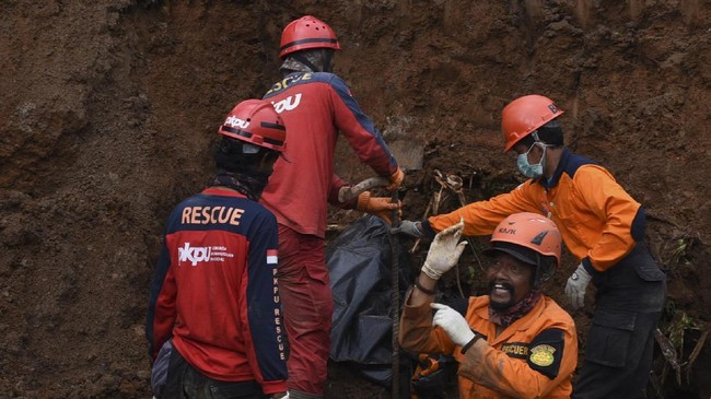 Lahan yang longsor diketahui ditanami jahe oleh masyarakat, tanaman yang tidak bisa memperkuat struktur tanah yang memiliki kemiringan hingga 60 derajat.
