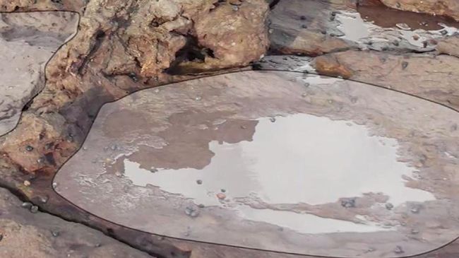 Di Gurun Gobi terdapat sebuah daerah bernama Bayanghongor, tempat itu kaya akan fosil dinosaurus.