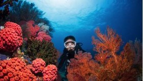 Indonesia Pamerkan Surga Bawah Laut di Ajang ADEX Singapura