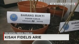 Netizen Soroti Kisah Fidelis Arie