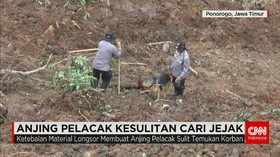 Anjing Pelacak Kesulitan Cari Korban